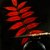 The Tools of Feng Shui