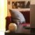 The Very, Very Basics of Feng Shui