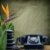 How you can Use Feng Shui in Your Office