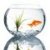 An Aquarium for Wealth and Abundance
